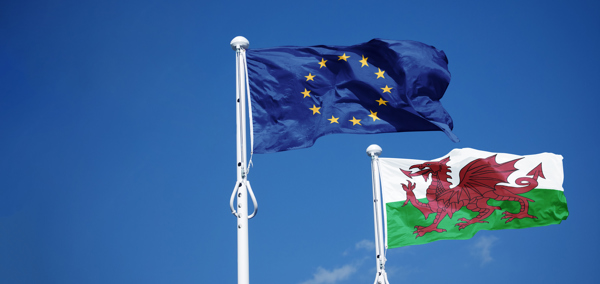 Baneri Cymru a'r UE