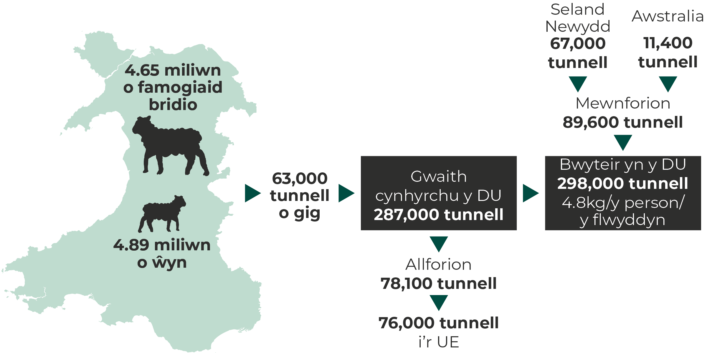 Llif masnach ar gyfer cig oen o ffermydd Cymru – Da byw yng Nghymru: 4.65 miliwn: mamogiaid bridio, 4.89 miliwn: ŵyn. Cynnyrch: 63,000 o dunellau o gig yng Nghymru, 287,000 o dunellau yn y DU. Defnydd yn y DU: 298,000 o dunellau (4.8kg / y pen / fesul blwyddyn). Allforion y DU: 78,100 o dunellau i gyd, 76,000 o dunellau i'r UE. Mewnforion i’r DU: 89,600 o dunellau o Seland Newydd ac Awstralia (67,000 o dunellau ac 11,400 o dunellau, yn y drefn honno).