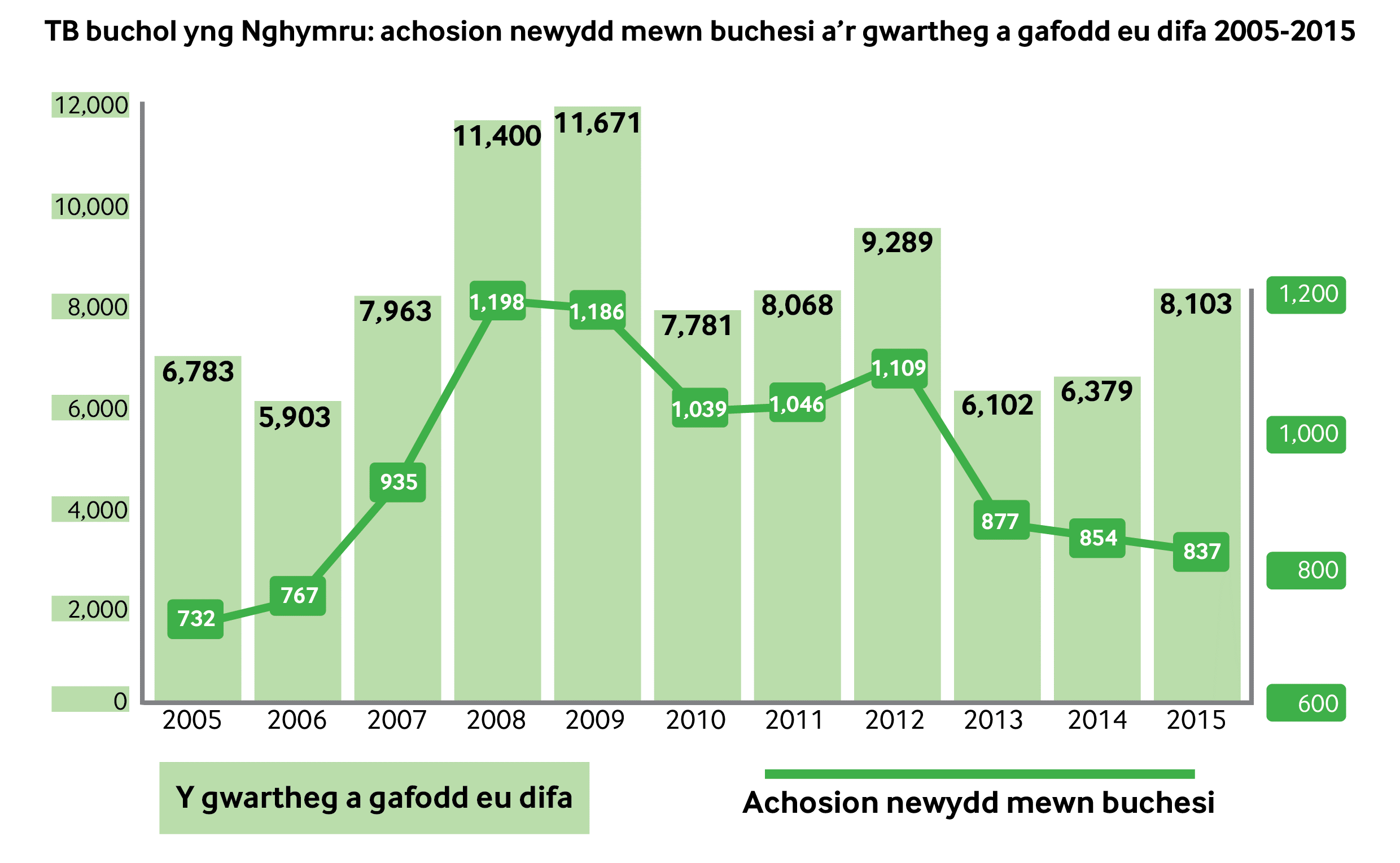 Siart llinell sy'n dangos nifer yr achosion mewn buchesi newydd, wedi’i gyfuno â siart bar sy’n dangos nifer y gwartheg a laddwyd